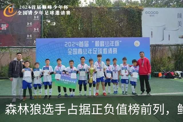 森林狼选手占据正负值榜前列，鲍尔与麦克丹尼尔斯并列第一